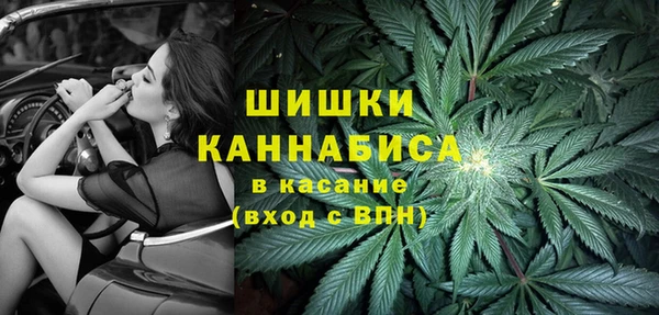ГАЛЛЮЦИНОГЕННЫЕ ГРИБЫ Вязники