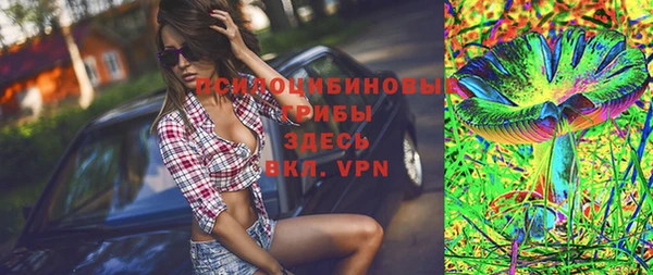 ГАЛЛЮЦИНОГЕННЫЕ ГРИБЫ Вязники