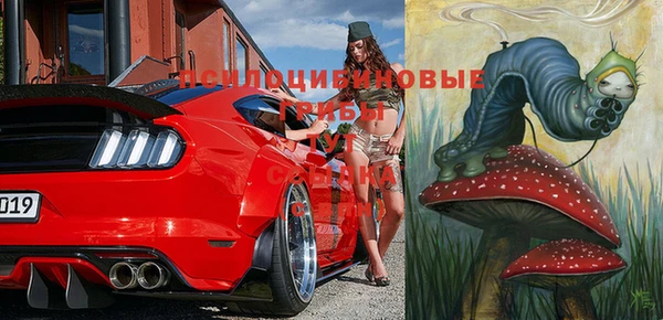 jwh Вяземский
