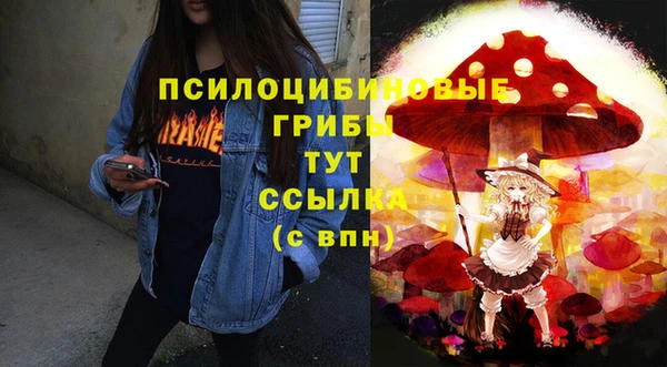 ГАЛЛЮЦИНОГЕННЫЕ ГРИБЫ Вязники