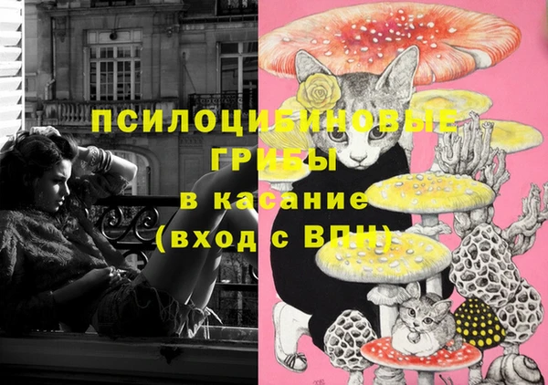 ГАЛЛЮЦИНОГЕННЫЕ ГРИБЫ Вязники