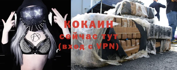 ГАЛЛЮЦИНОГЕННЫЕ ГРИБЫ Вязники