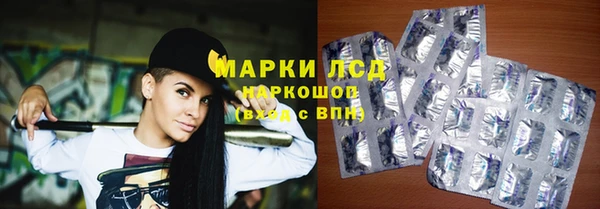 ГАЛЛЮЦИНОГЕННЫЕ ГРИБЫ Вязники