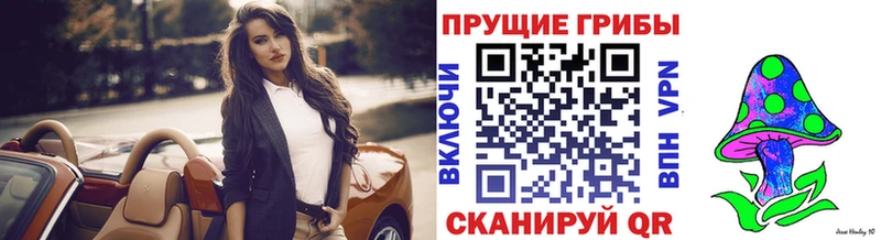 Купить закладки  Хасавюрт  Псилоцибиновые грибы мухоморы 